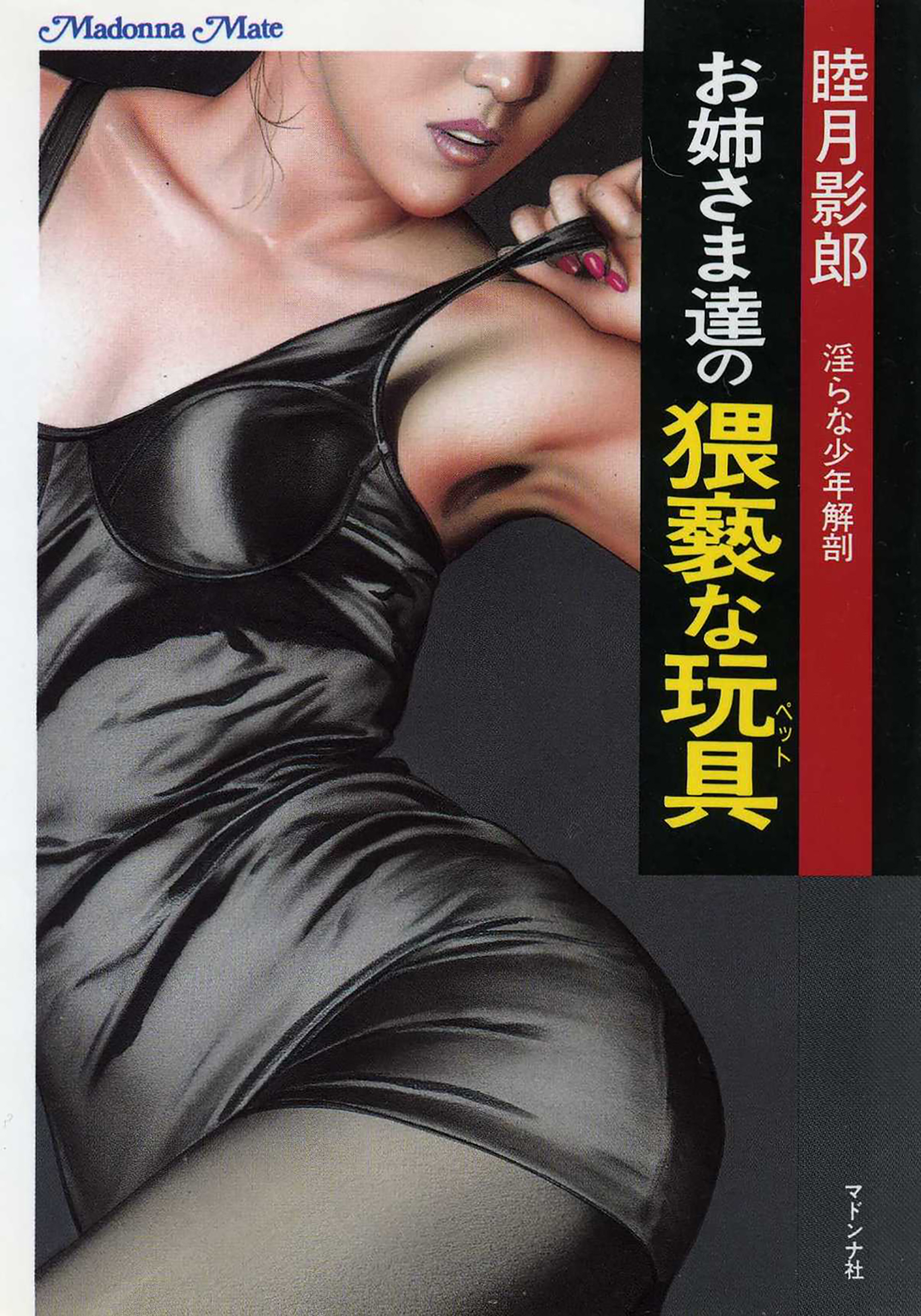 お姉さま達の猥褻な玩具