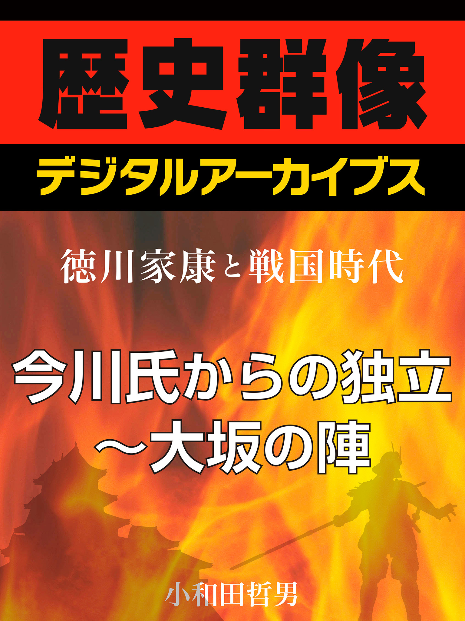 ＜徳川家康と戦国時代＞今川氏からの独立～大坂の陣