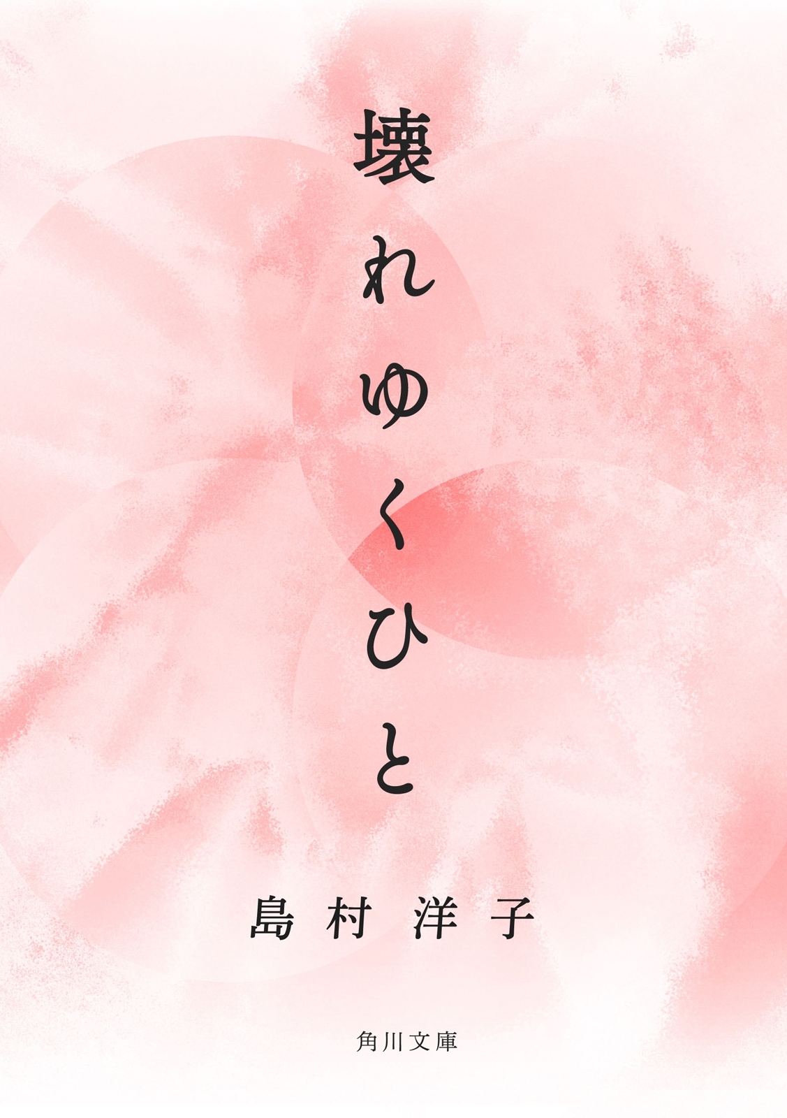壊れゆくひと