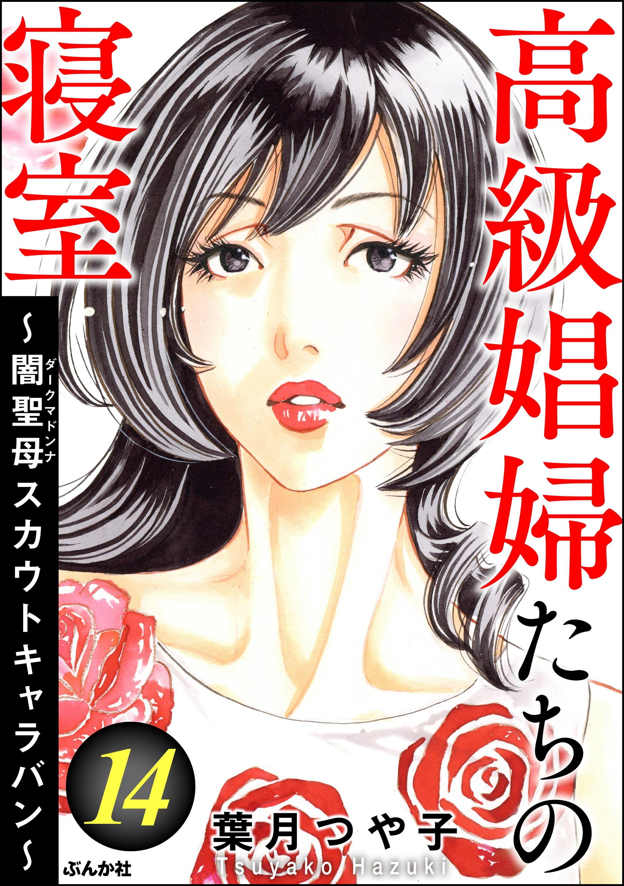 高級娼婦たちの寝室 ～闇聖母スカウトキャラバン～　（14）