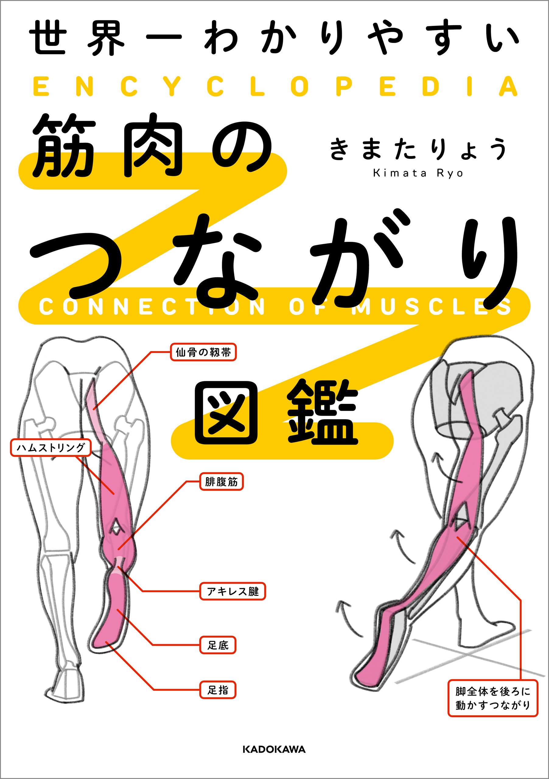 世界一わかりやすい　筋肉のつながり図鑑