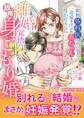 離婚覚悟の政略身ごもり婚~敏腕外科医と再会したら、一途愛を注がれ赤ちゃんを授かりました~