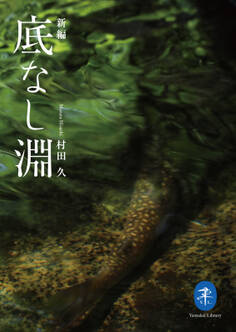 ヤマケイ文庫 新編 底なし淵