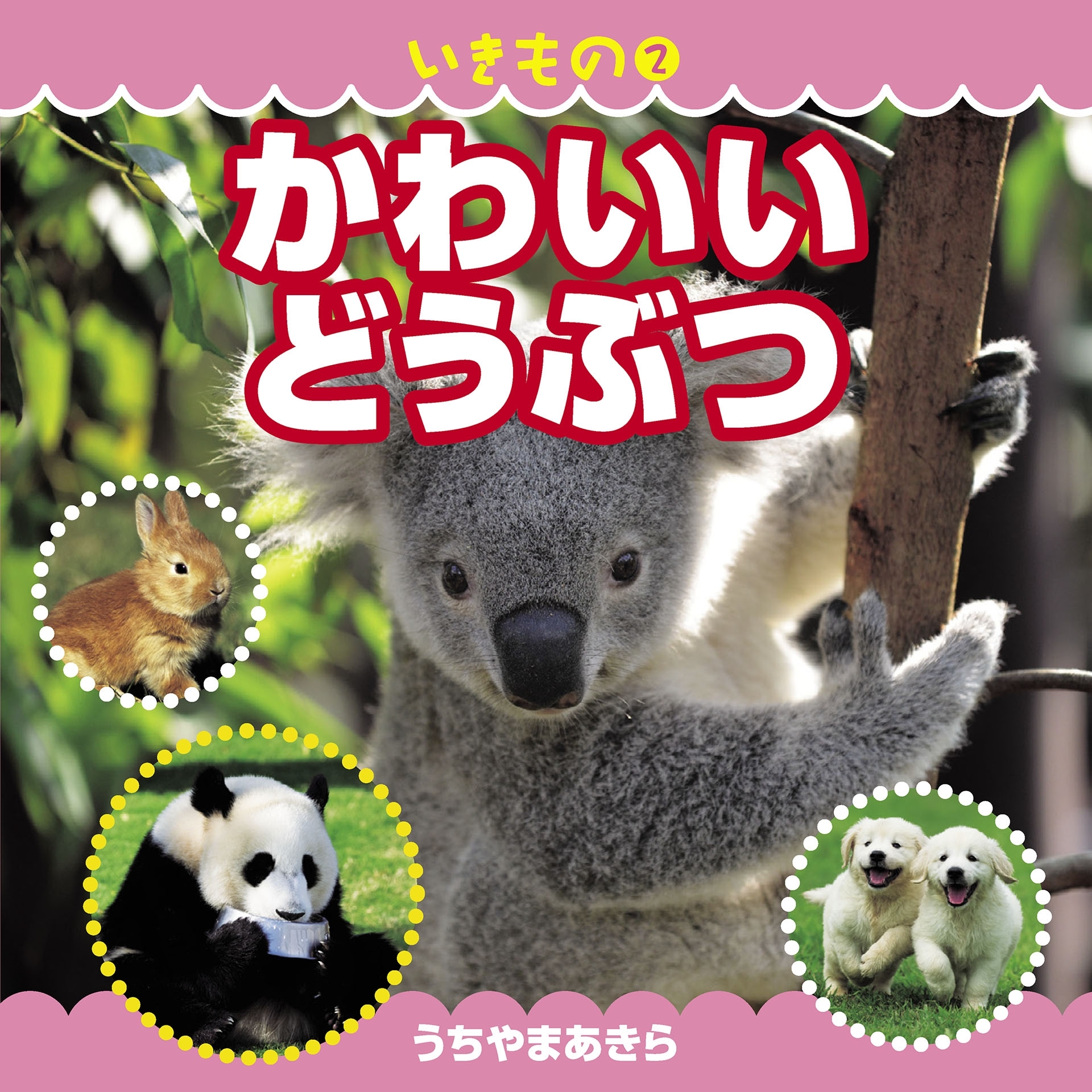 いきもの2　かわいいどうぶつ