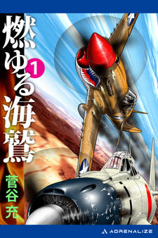 燃ゆる海鷲(1)