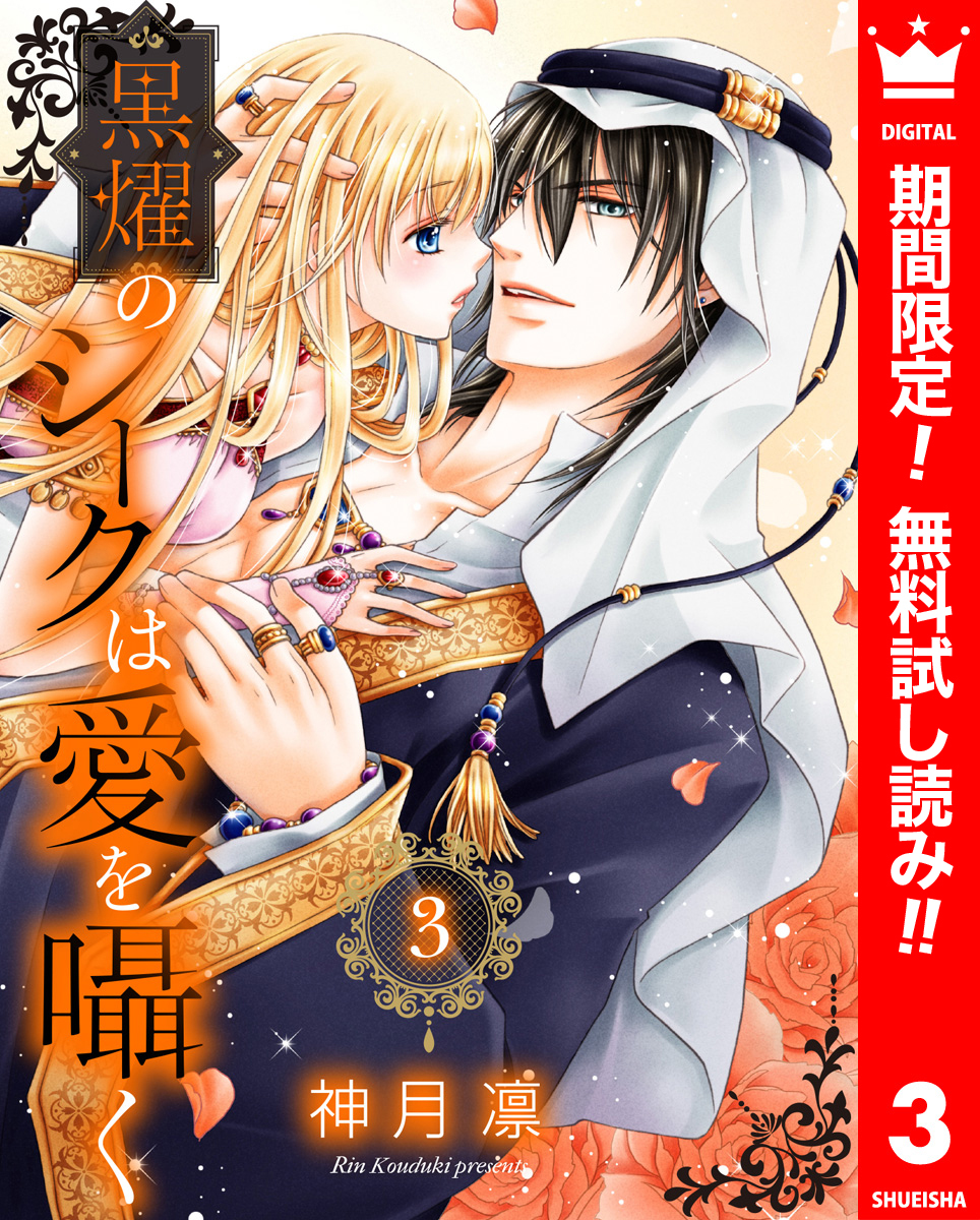 黒燿のシークは愛を囁く【期間限定無料】 3