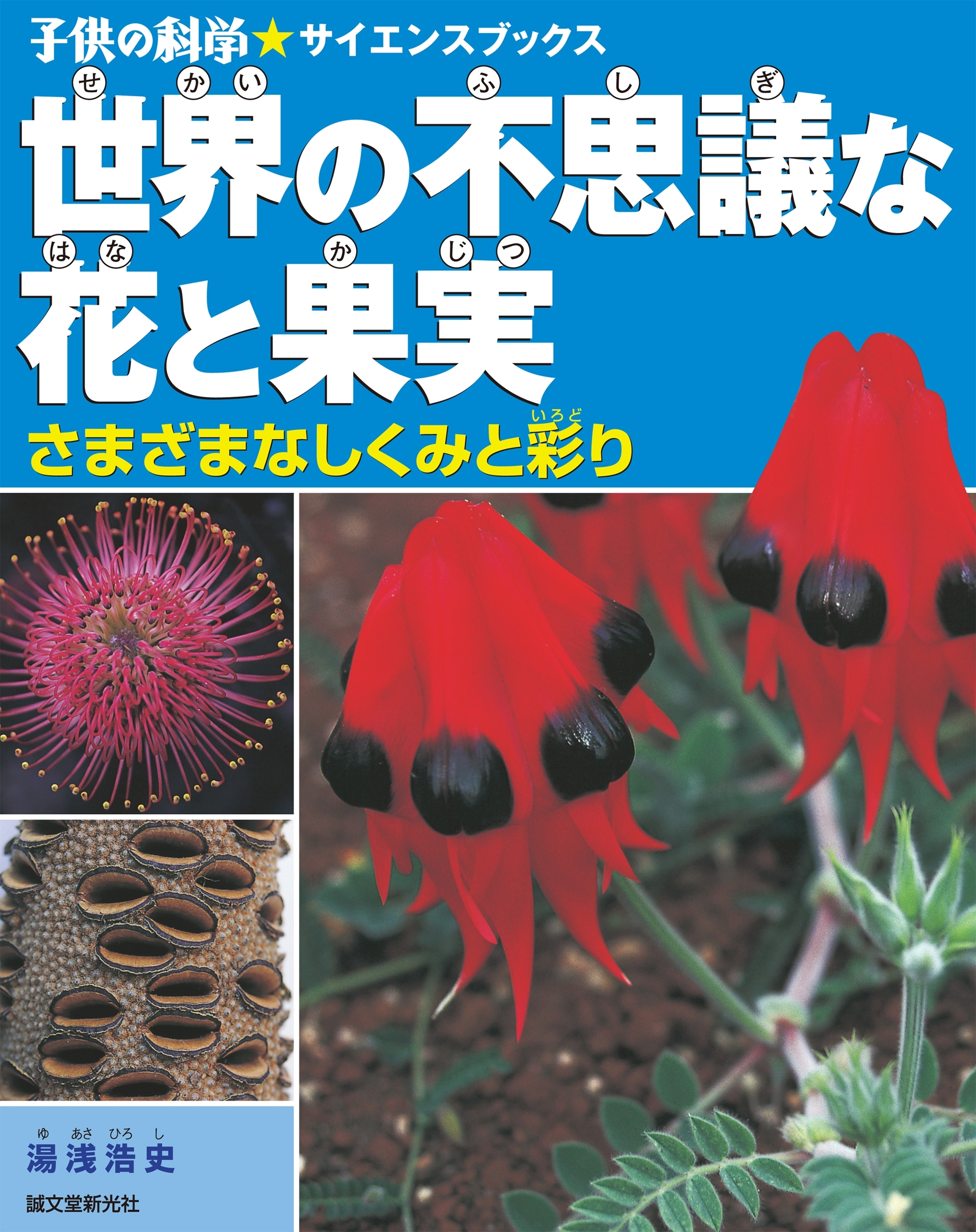 世界の不思議な花と果実
