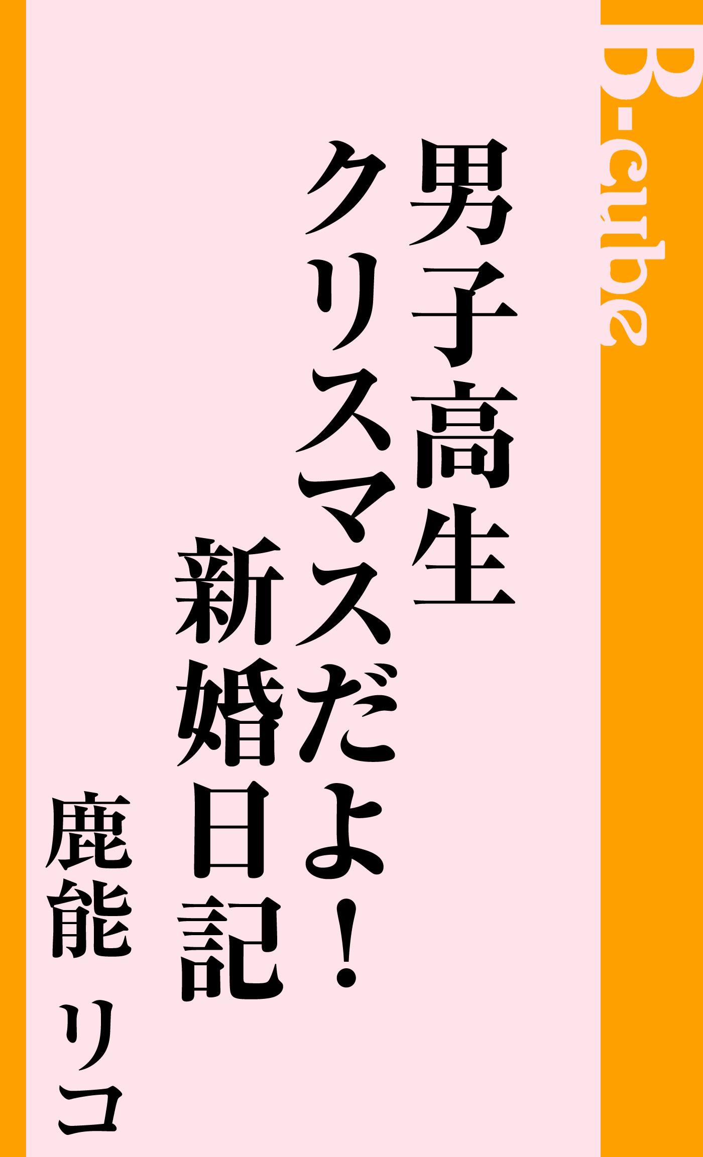男子高生クリスマスだよ！新婚日記