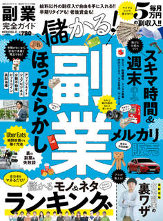 100%ムックシリーズ 完全ガイドシリーズ328 副業完全ガイド