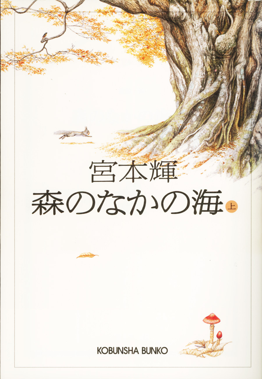 森のなかの海（上）