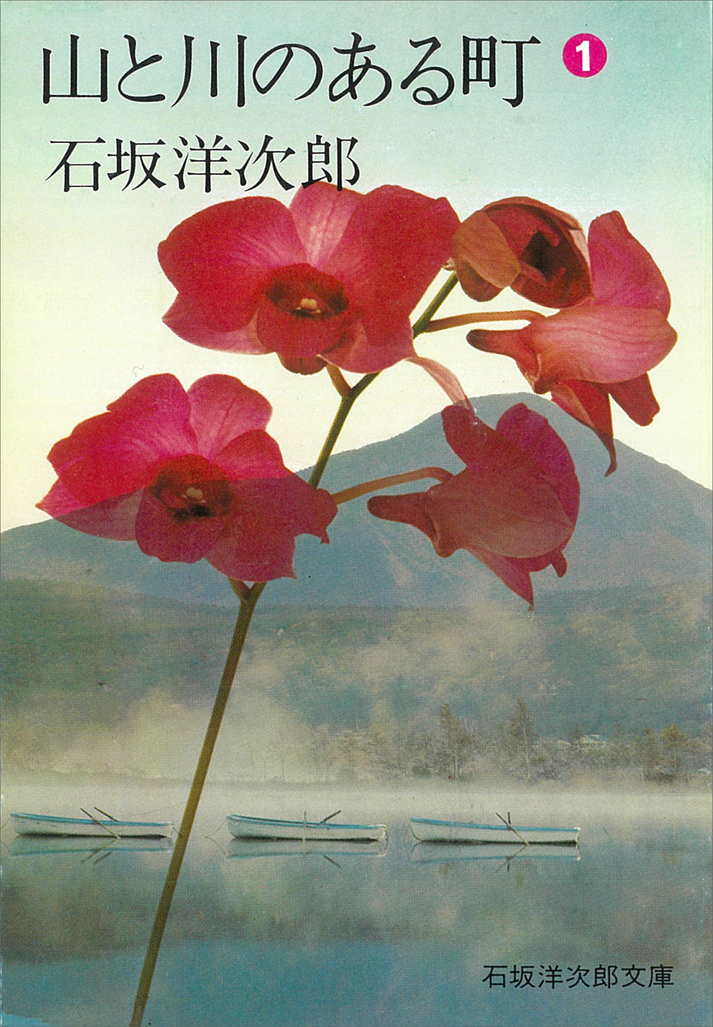 山と川のある町（１）