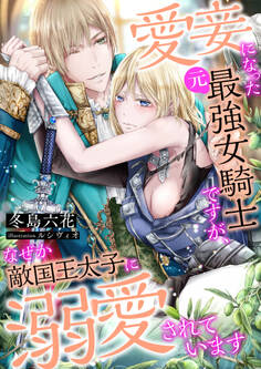 愛妾になった(元)最強女騎士ですが、なぜか敵国王太子に溺愛されています