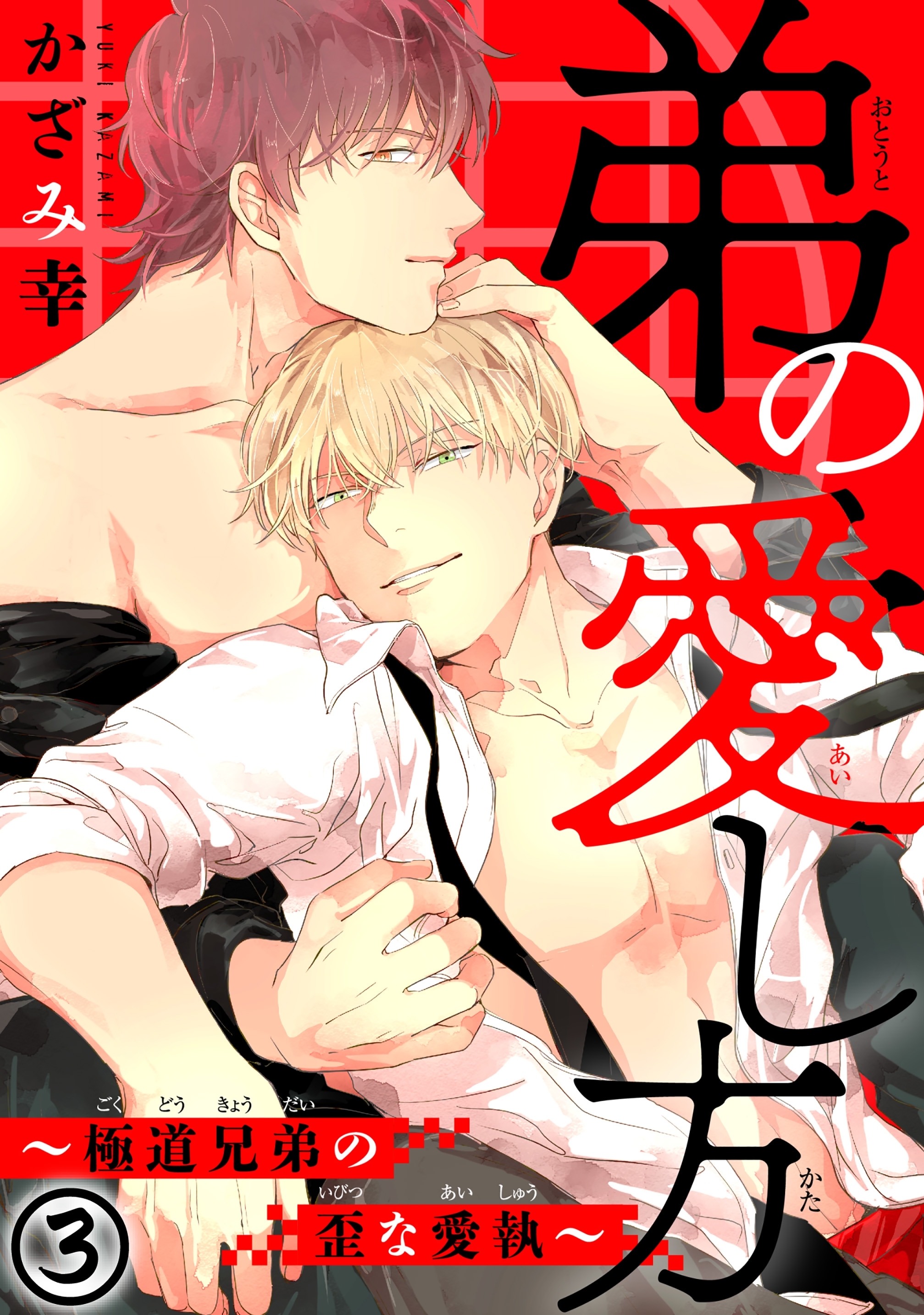 弟の愛し方～極道兄弟の歪な愛執～ 3