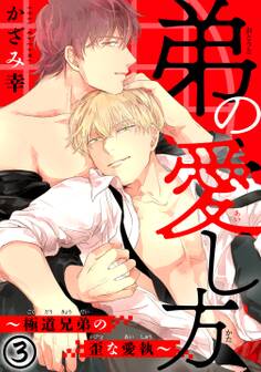 弟の愛し方~極道兄弟の歪な愛執~ 3