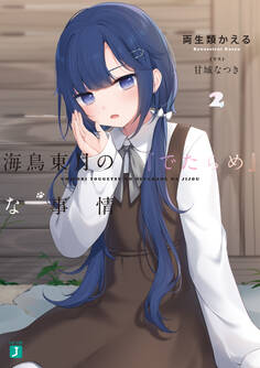 海鳥東月の『でたらめ』な事情2