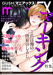 GUSHmaniaEX マーキング