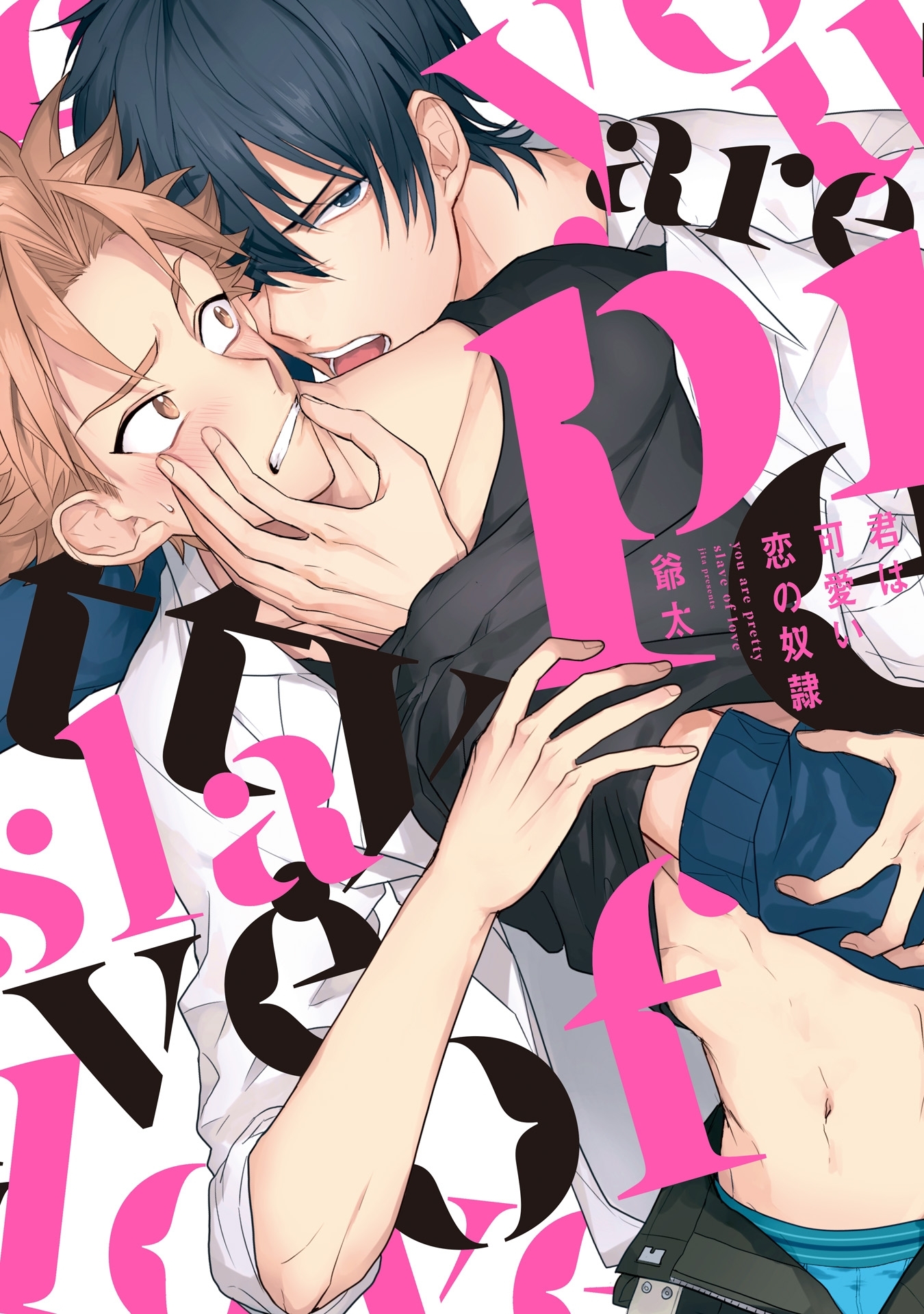 君は可愛い恋の奴隷【新装版】【ペーパー付】