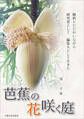 芭蕉の花咲く庭