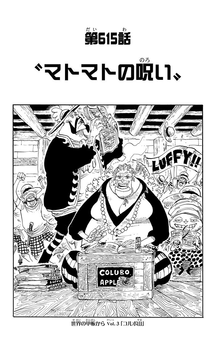 コギトエルゴスム ワンピース