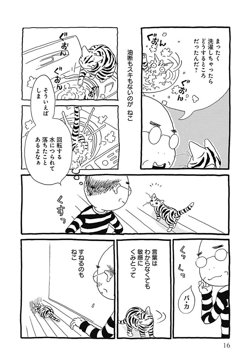 ぬくぬくファイナル だから猫はやめられない 無料 試し読みなら Amebaマンガ 旧 読書のお時間です