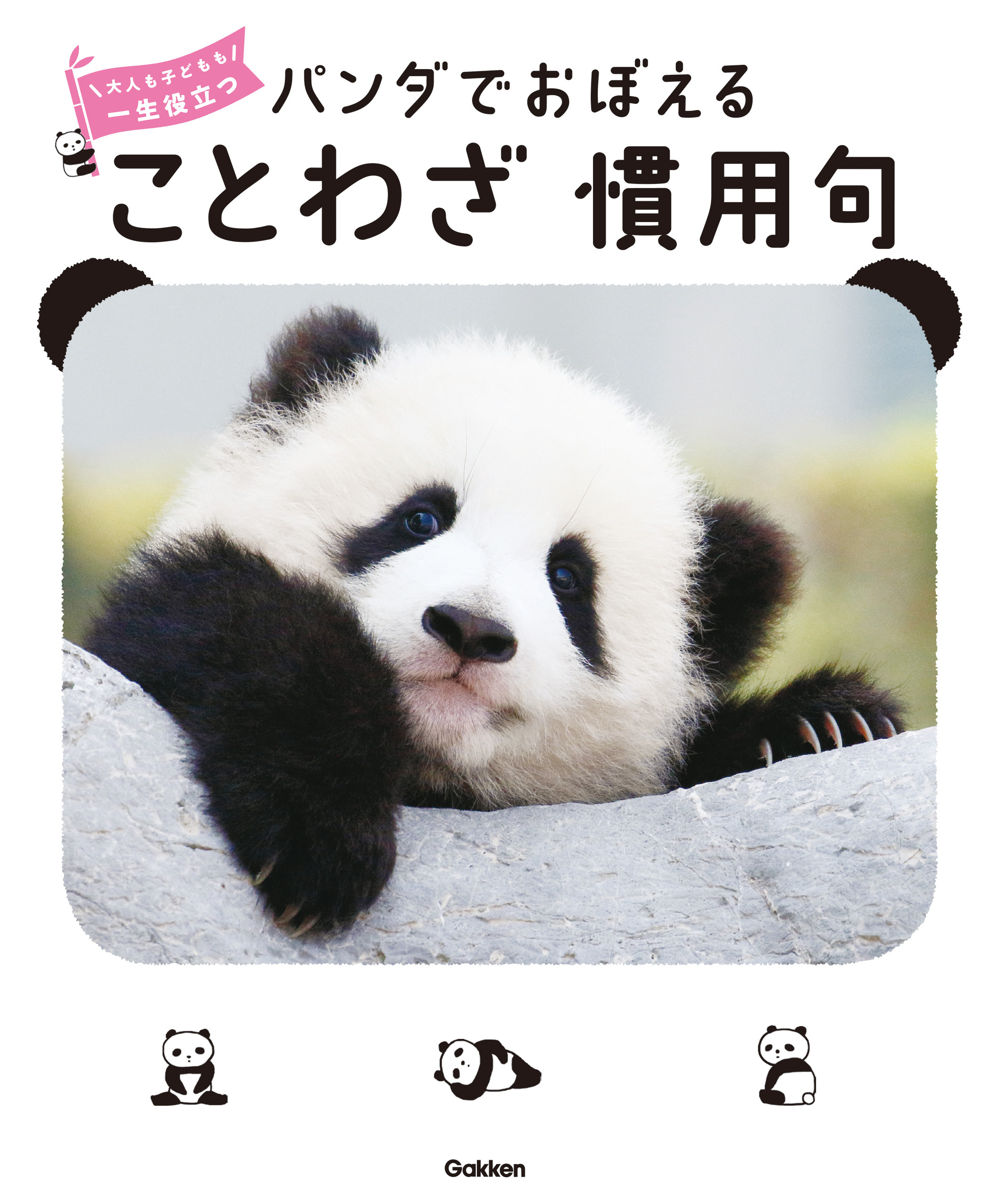 パンダでおぼえる ことわざ慣用句 大人も子どもも 一生役立つ