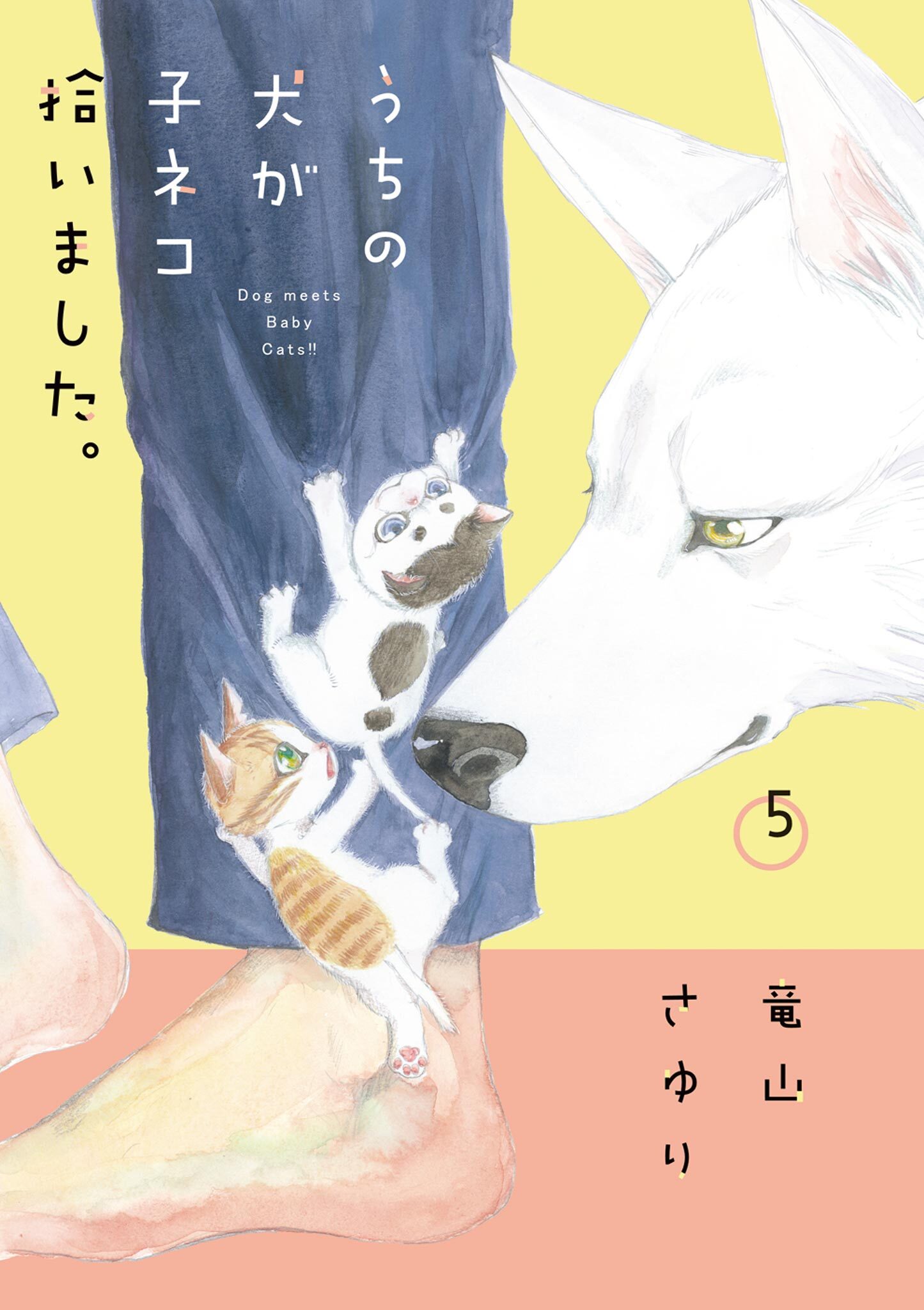 ある日 犬の国から手紙が来て 3.4.5.6巻 - 少女漫画