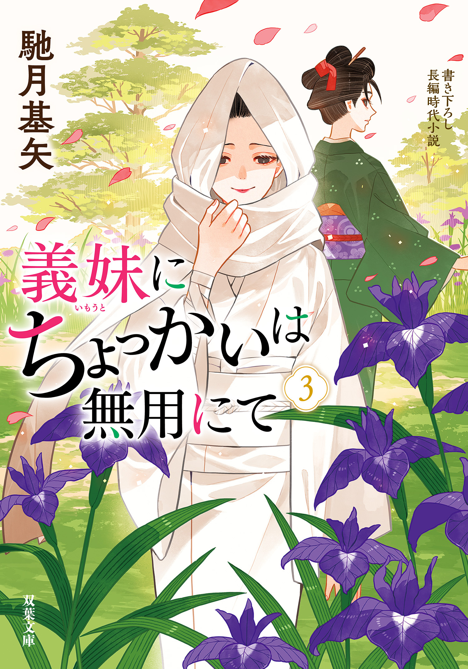 義妹にちょっかいは無用にて ： 3