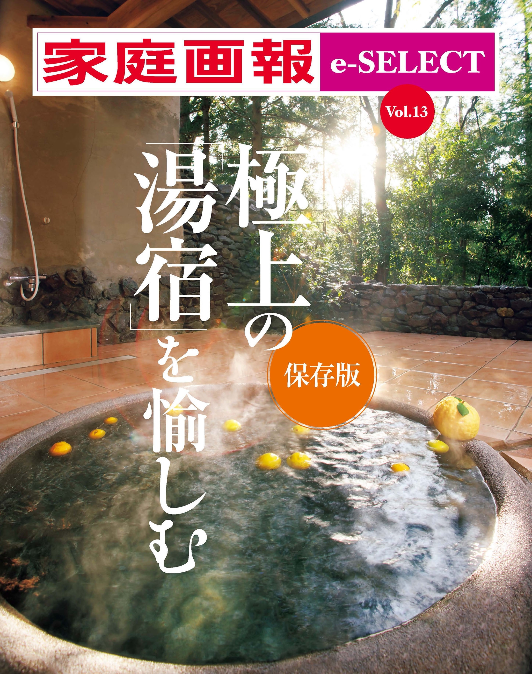 家庭画報 e-SELECT Vol.13 極上の「湯宿」を愉しむ ［保存版］[雑誌]
