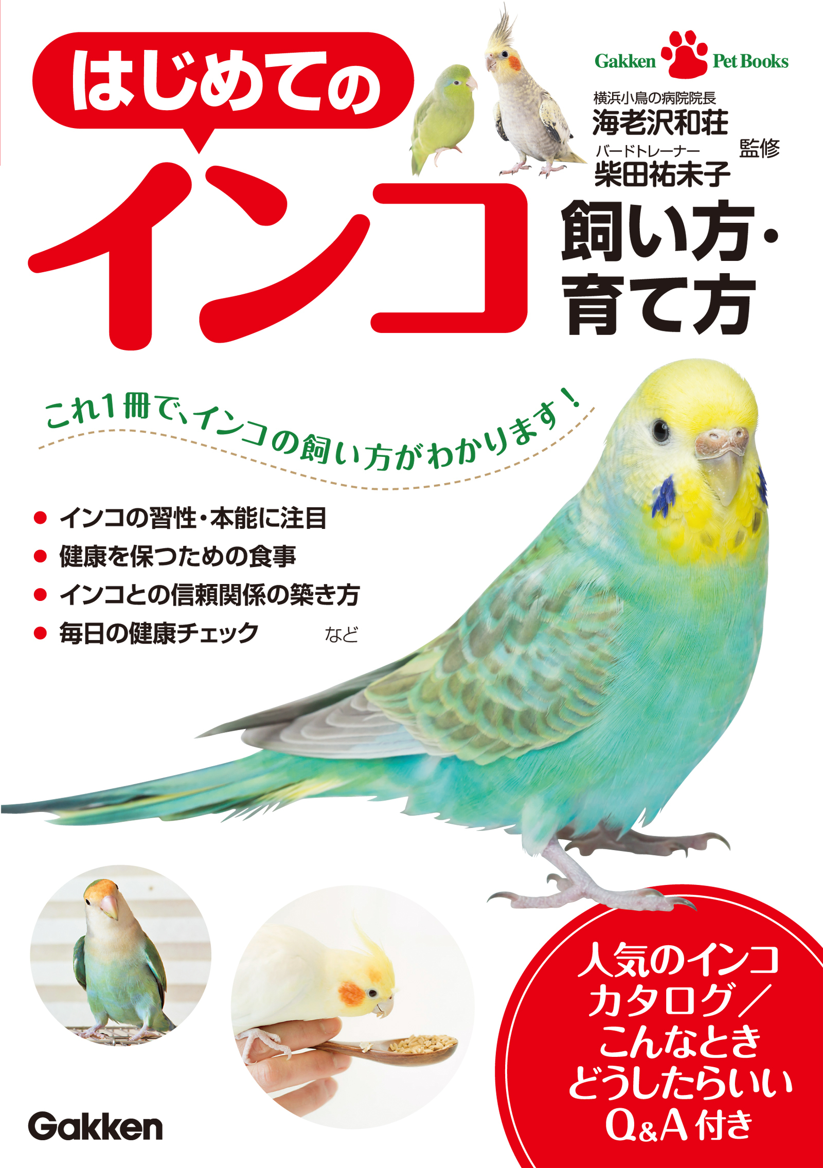 はじめてのインコ　飼い方・育て方