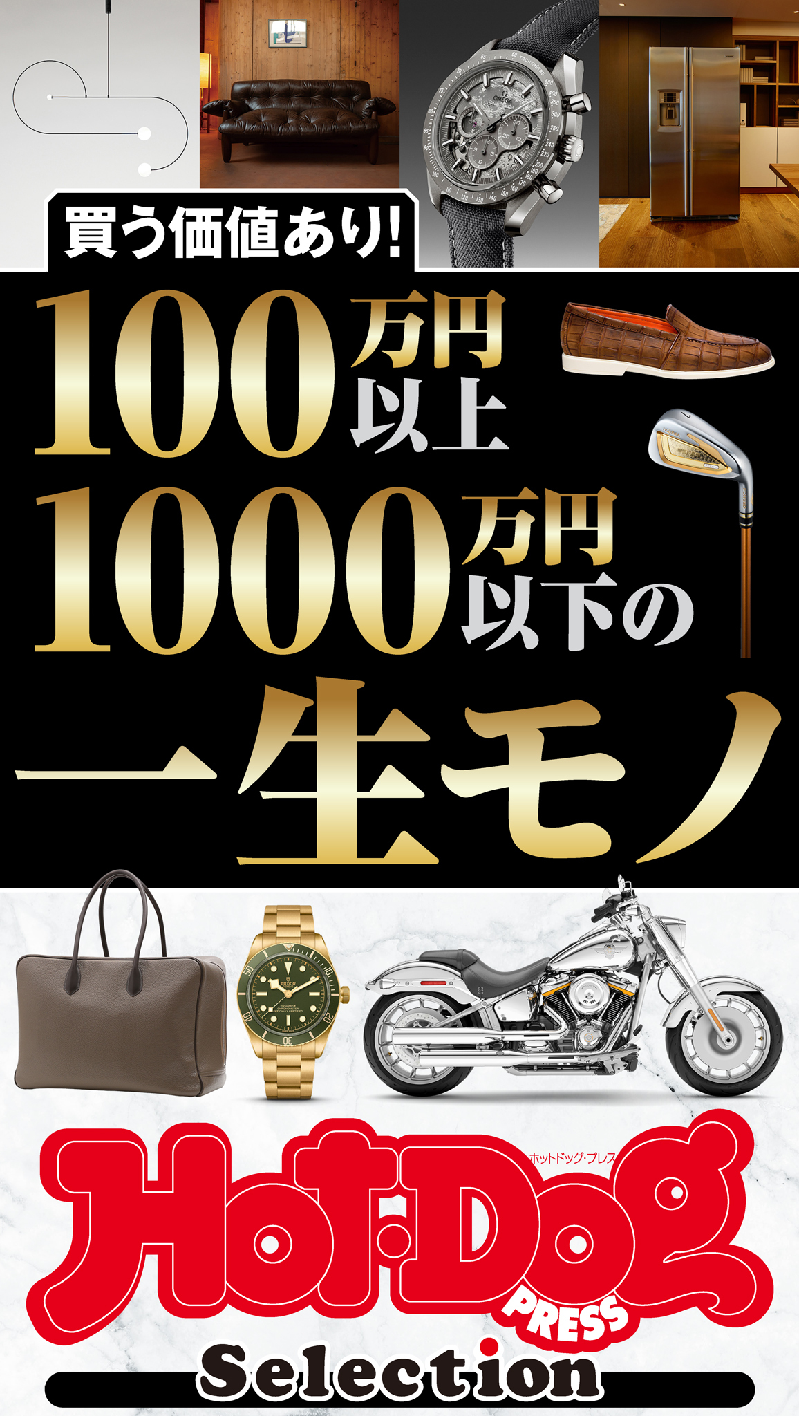 ホットドッグプレスセレクション　１００万円以上１０００万円以下の一生モノ