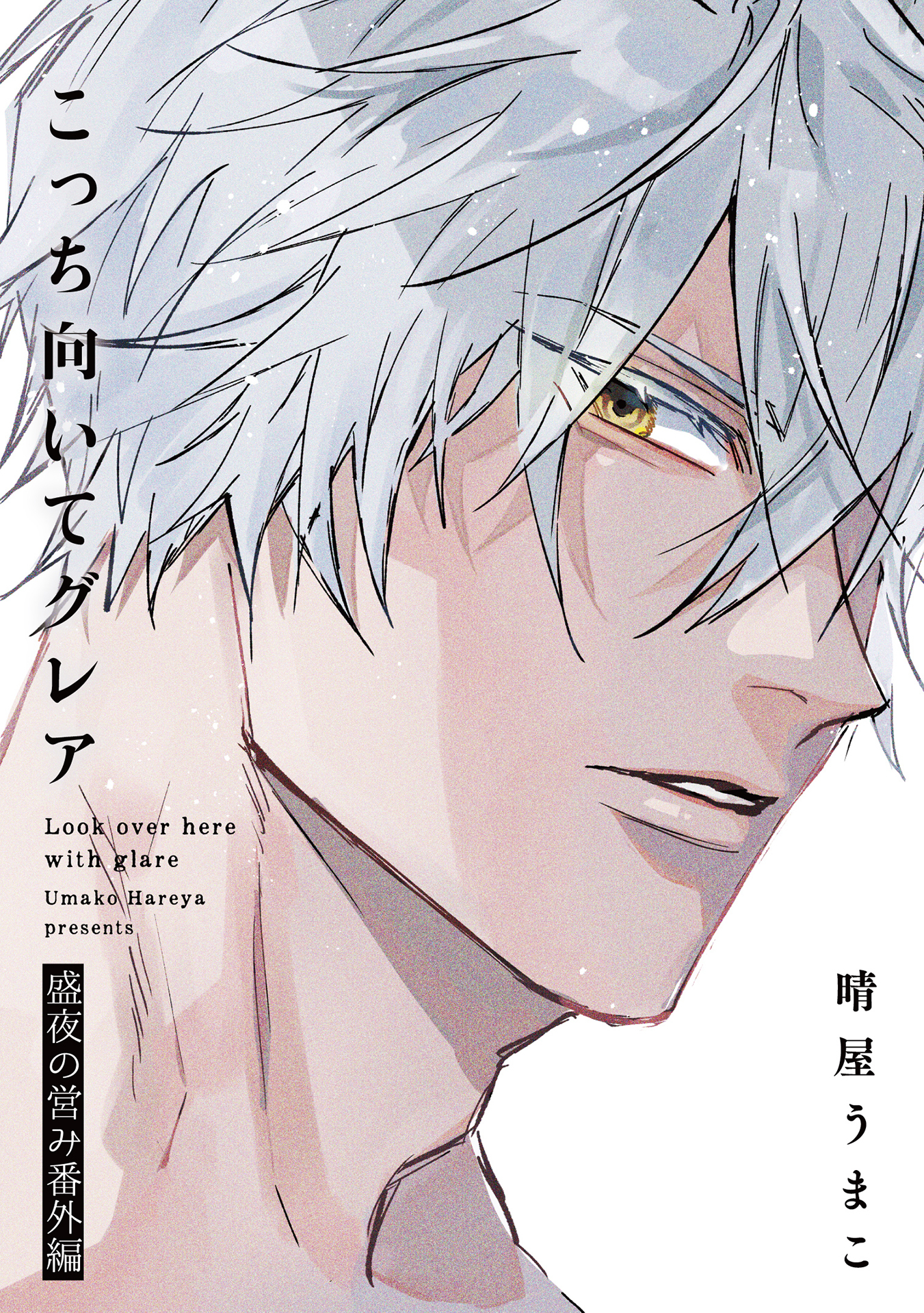 こっち向いてグレア 盛夜の営み番外編【特典小冊子電子版】