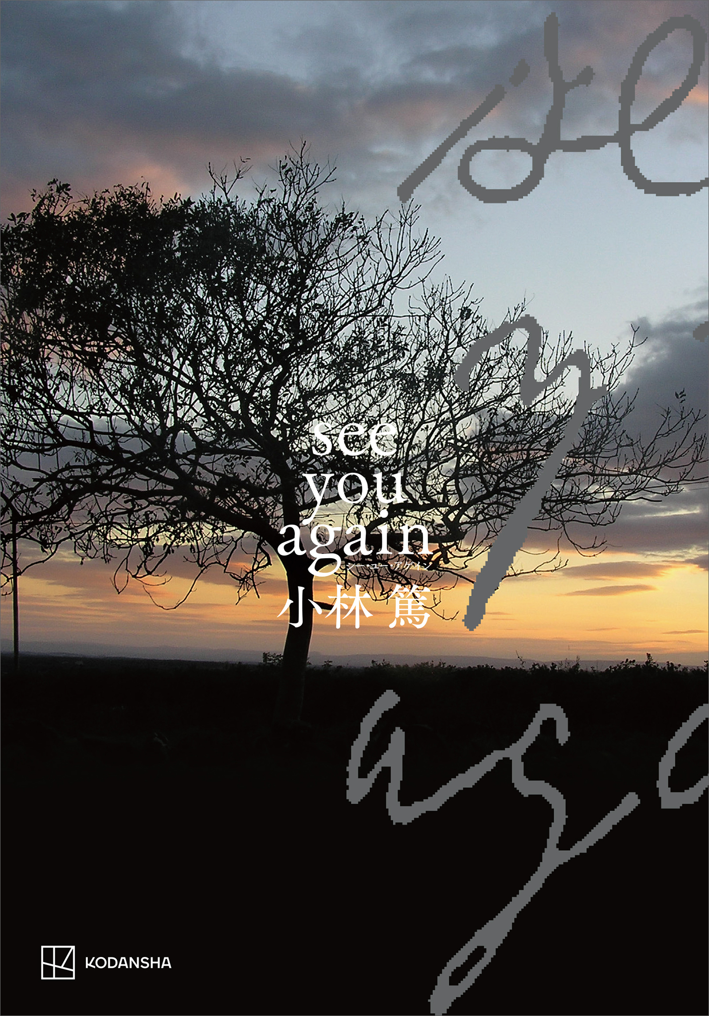 ｓｅｅ　ｙｏｕ　ａｇａｉｎ