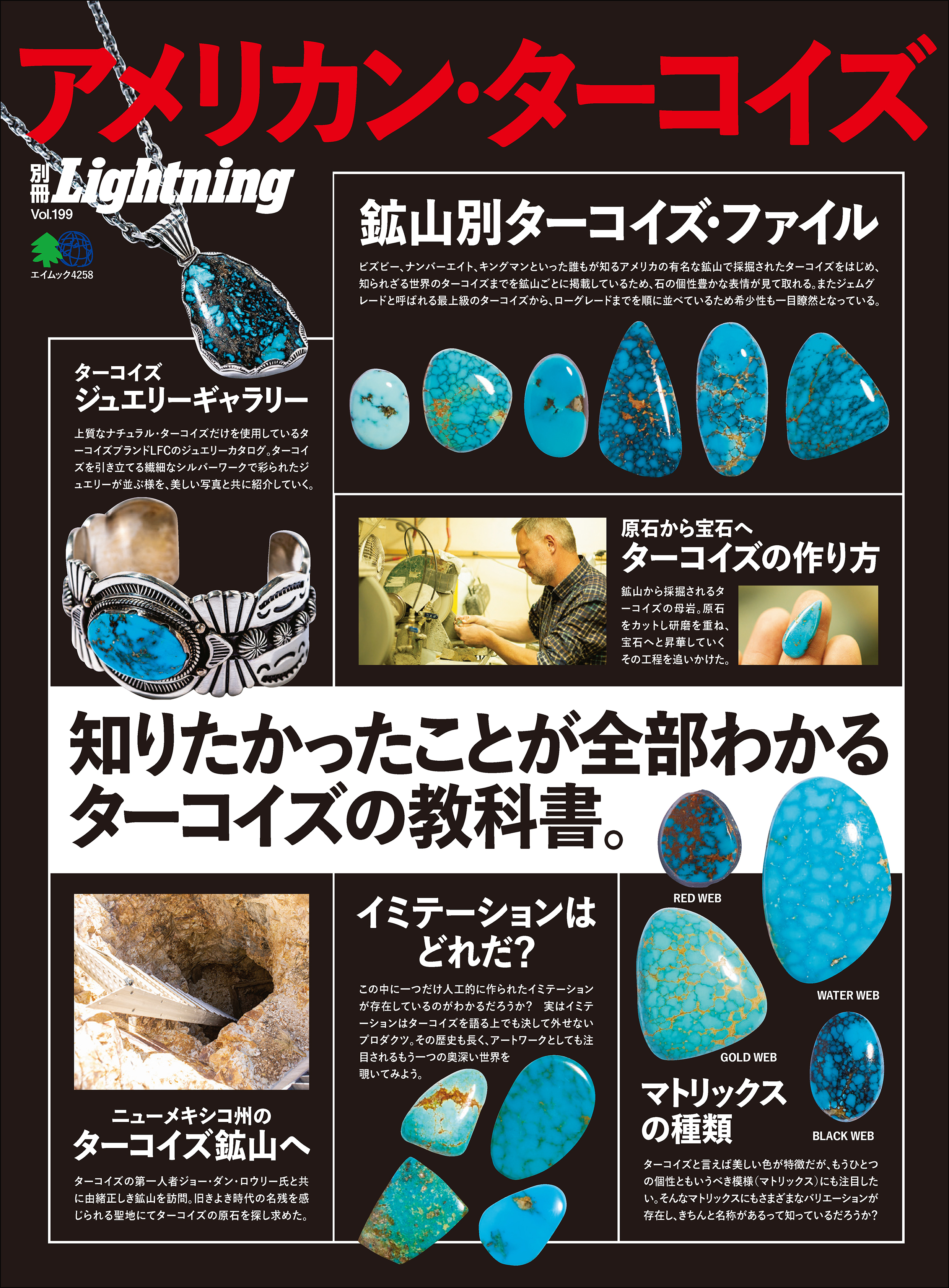 別冊Lightning Vol.199 アメリカン･ターコイズ