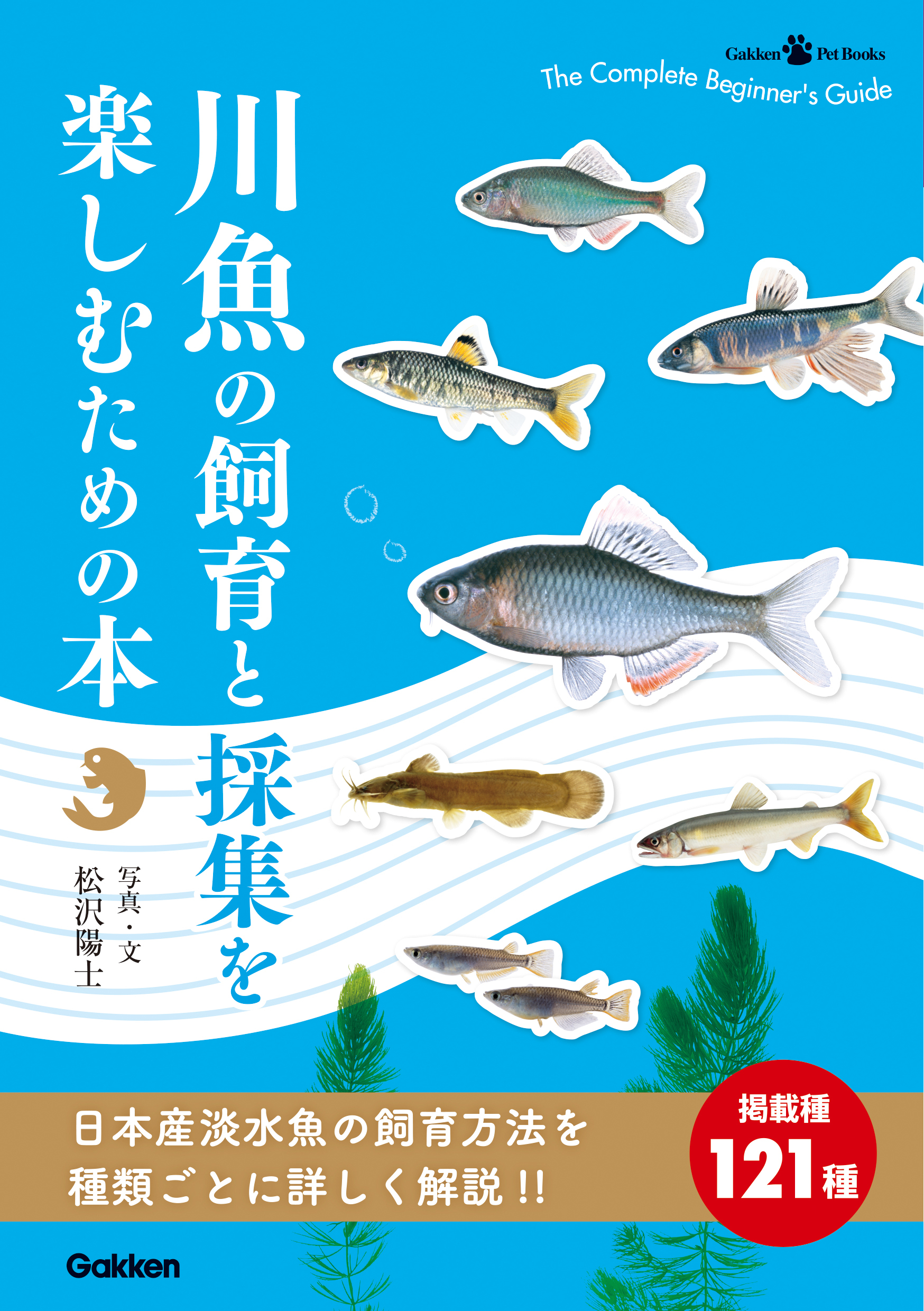 川魚の飼育と採集を楽しむための本
