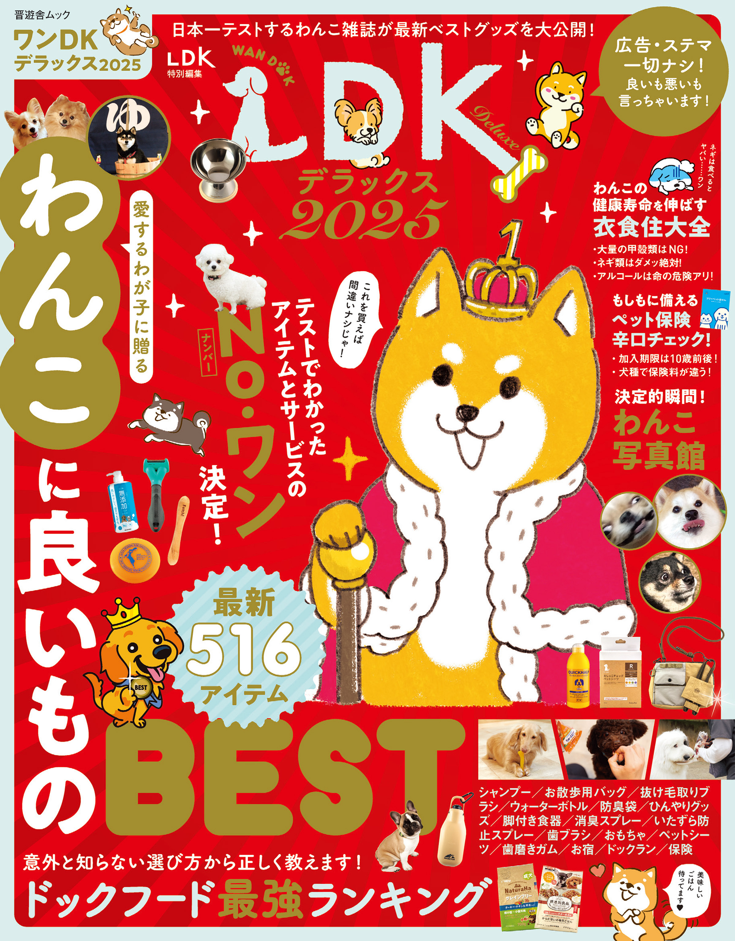 晋遊舎ムック　ワンDKデラックス2025