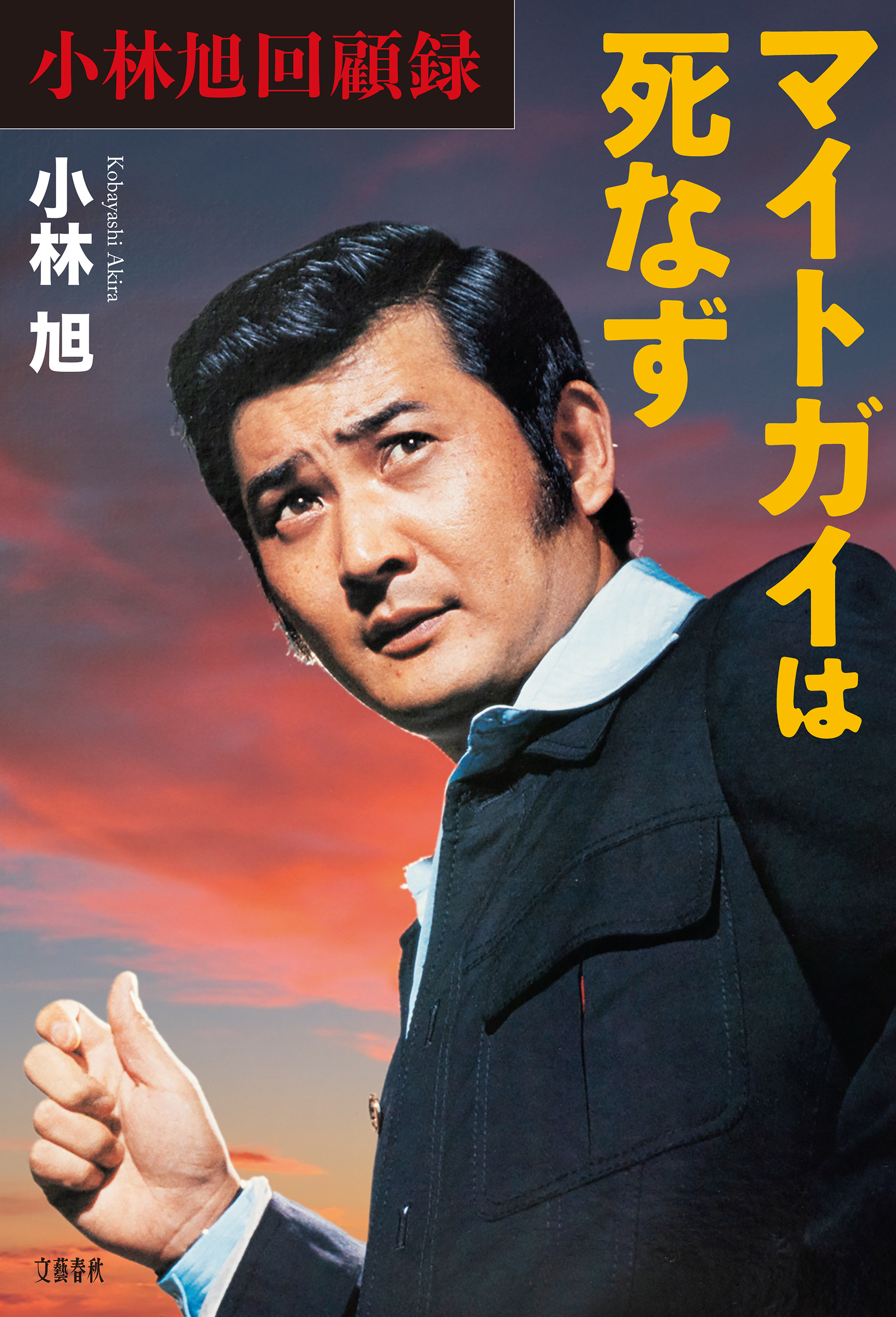 小林旭回顧録 マイトガイは死なず