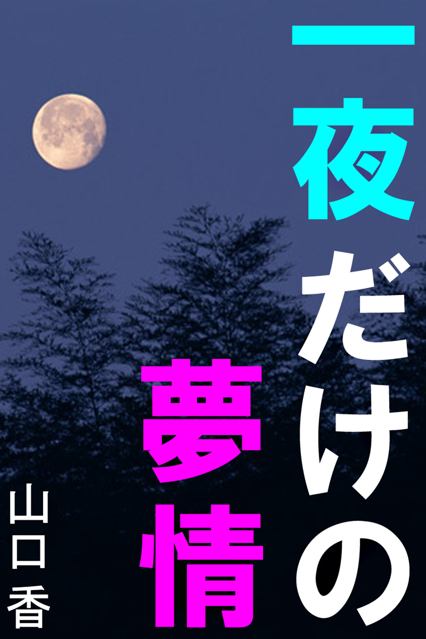 一夜だけの夢情