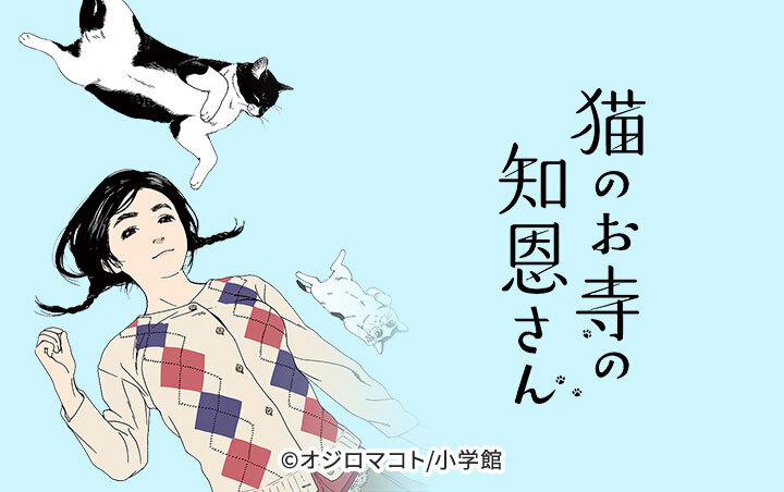 27話無料]猫のお寺の知恩さん(全80話)|オジロマコト|無料連載|人気