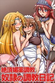 絶頂媚薬調教　奴隷の調教日記