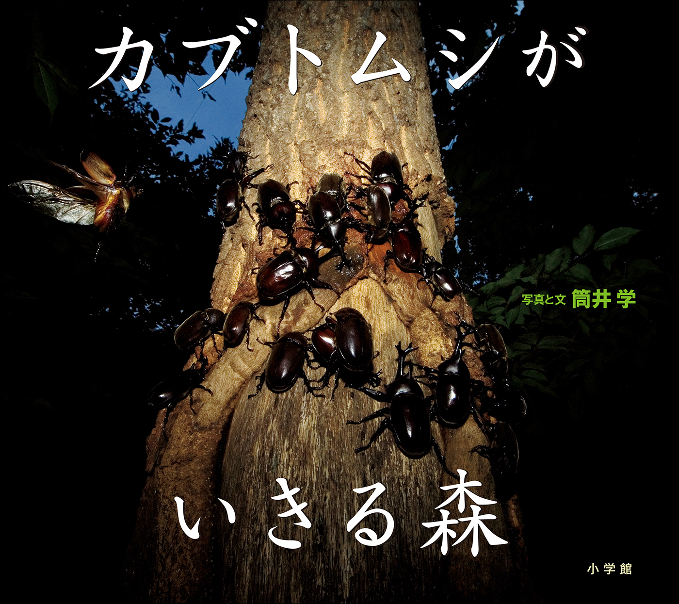 カブトムシがいきる森（小学館の図鑑NEOの科学絵本）