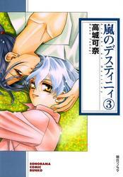 嵐のデスティニィ　3巻