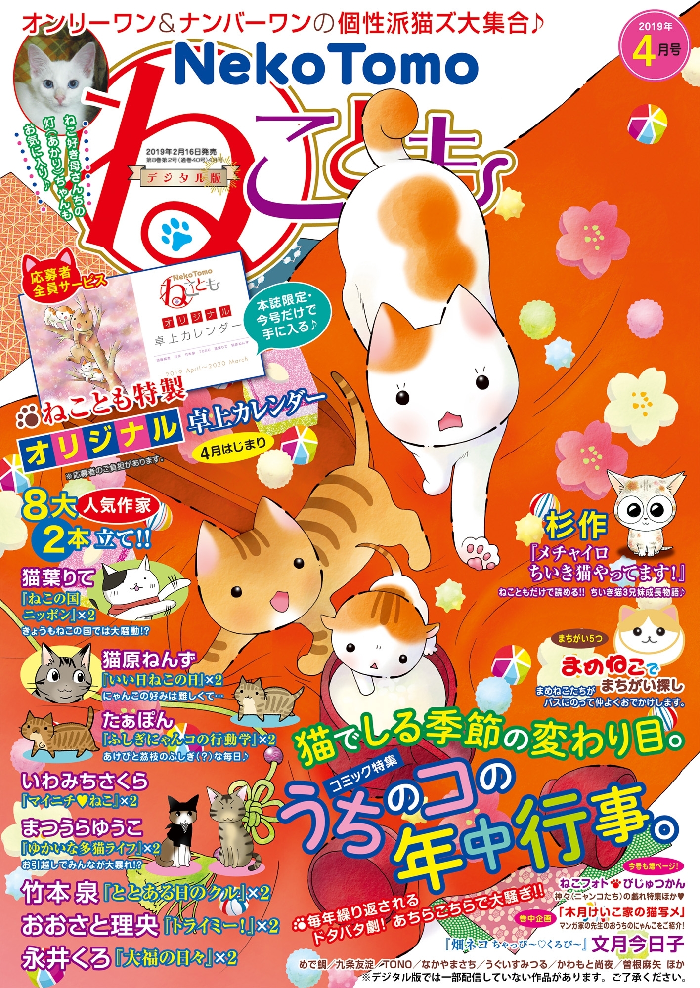 ねこともvol.60