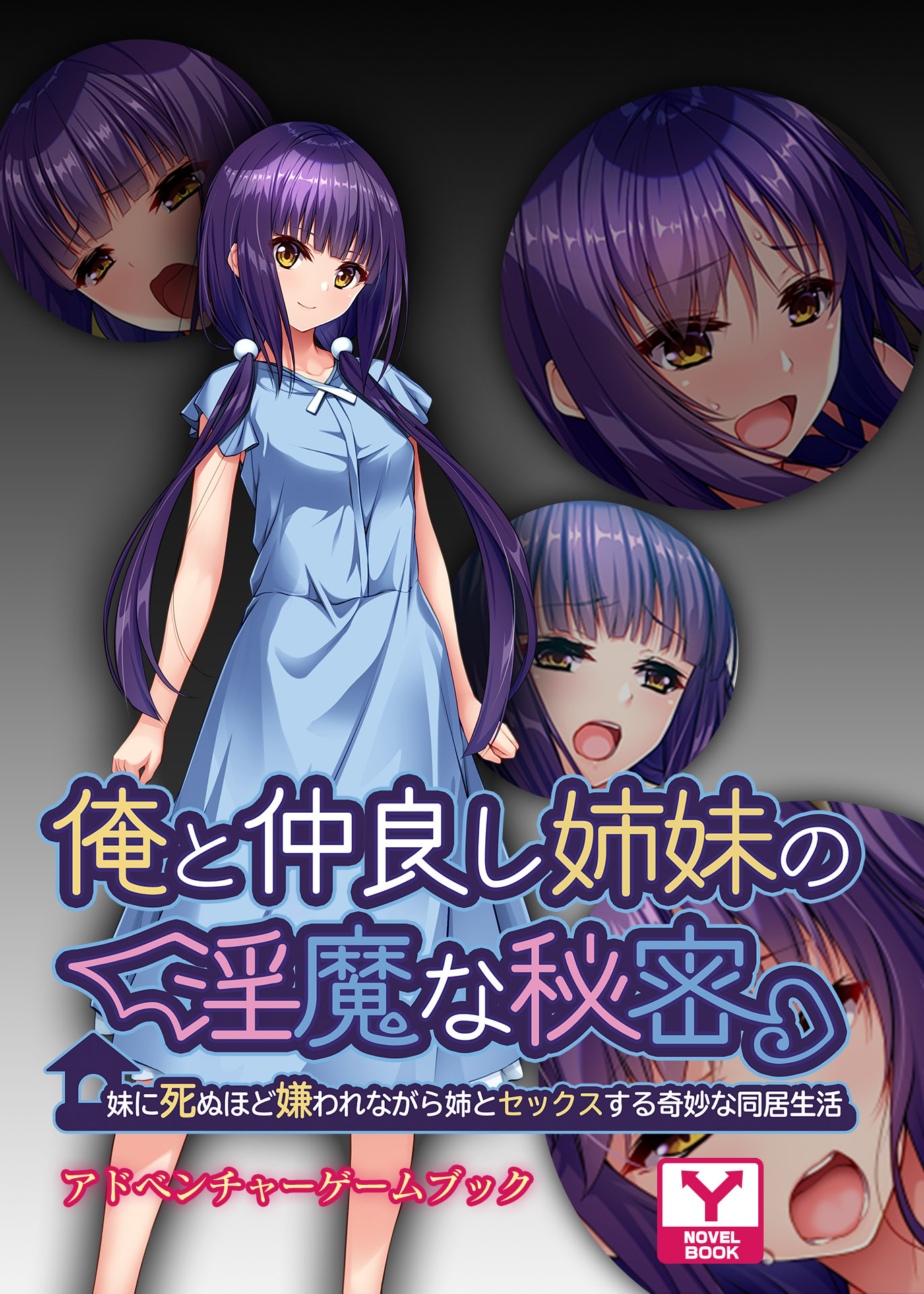 俺と仲良し姉妹の淫魔な秘密 ～妹に死ぬほど嫌われながら姉とセックスする奇妙な同居生活～　アドベンチャーゲームブック