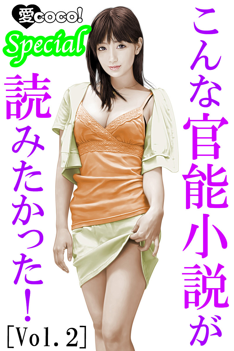 こんな官能小説が読みたかった！vol.2