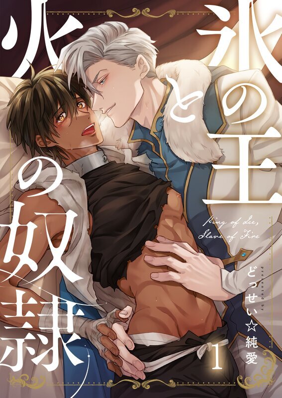 氷の王と火の奴隷(1)
