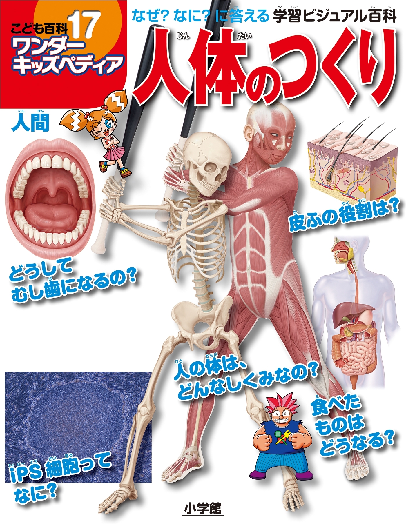 ワンダーキッズペディア17　人間 ～人体のつくり～