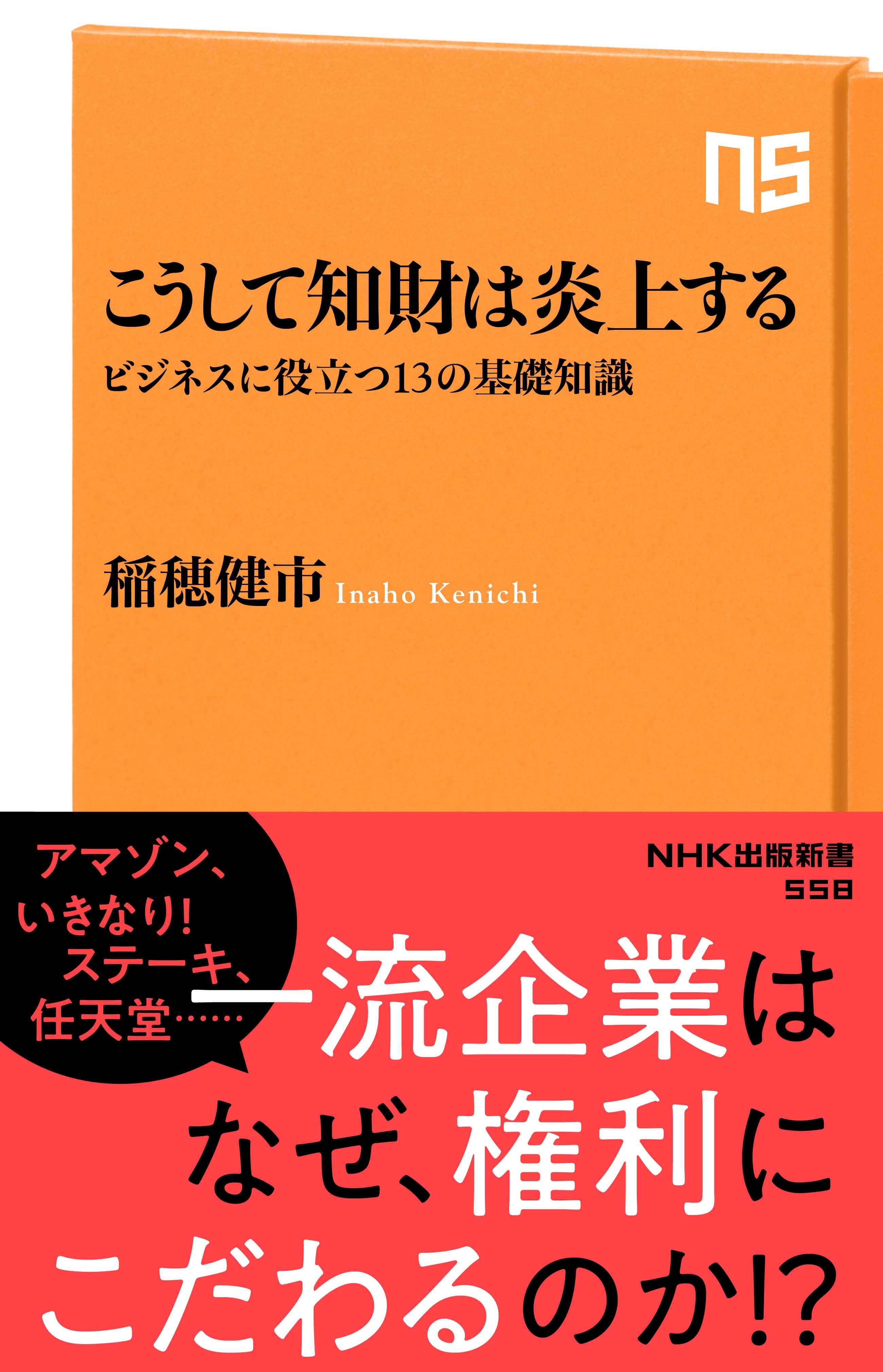こうして知財は炎上する　ビジネスに役立つ１３の基礎知識