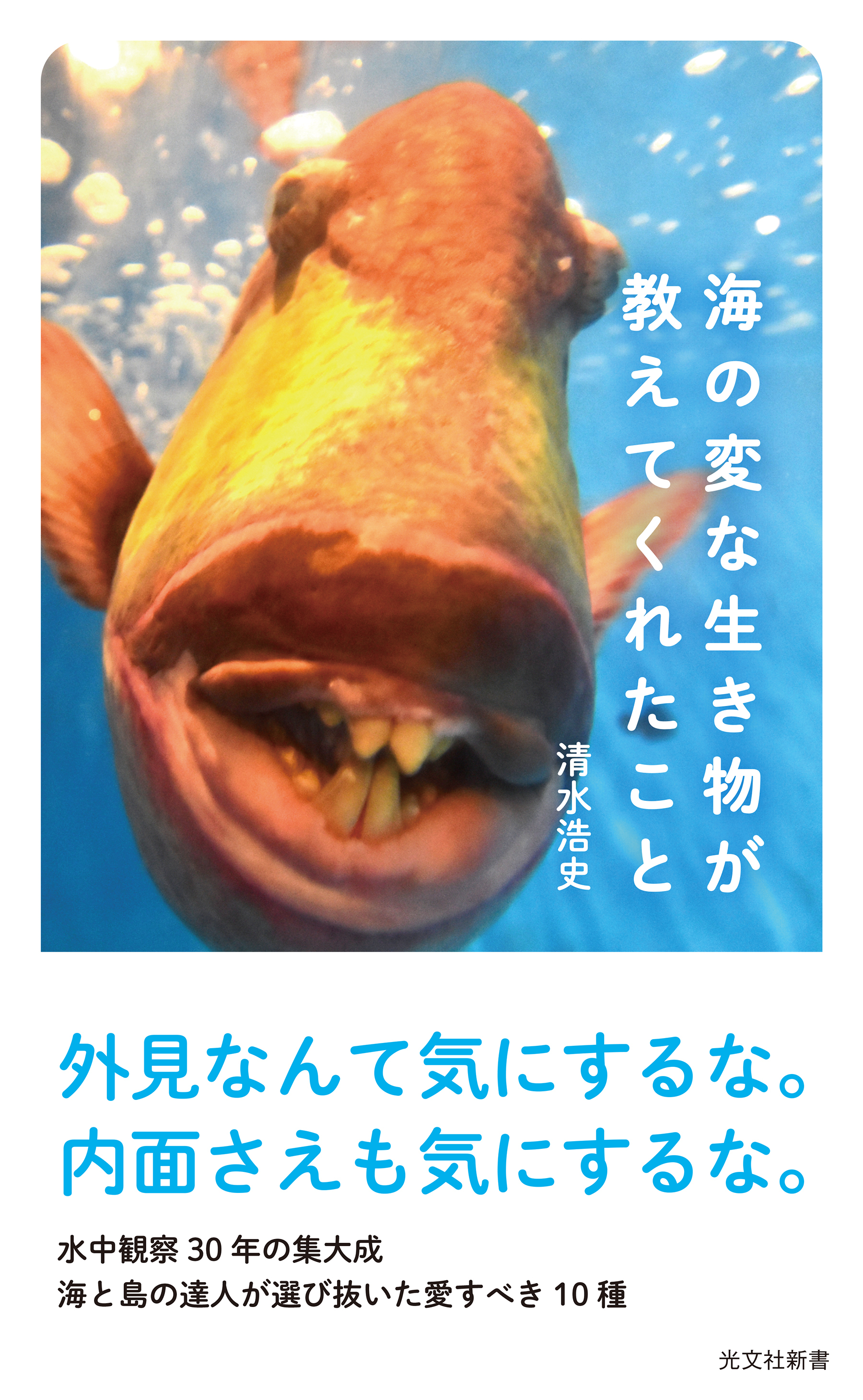 海の変な生き物が教えてくれたこと