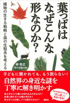 葉っぱはなぜこんな形なのか? 植物の生きる戦略と森の生態系を考える