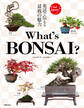 What’s BONSAI ?
